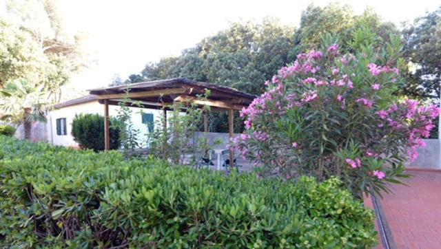 Room In Villa -Livorno - Montenero Eksteriør bilde